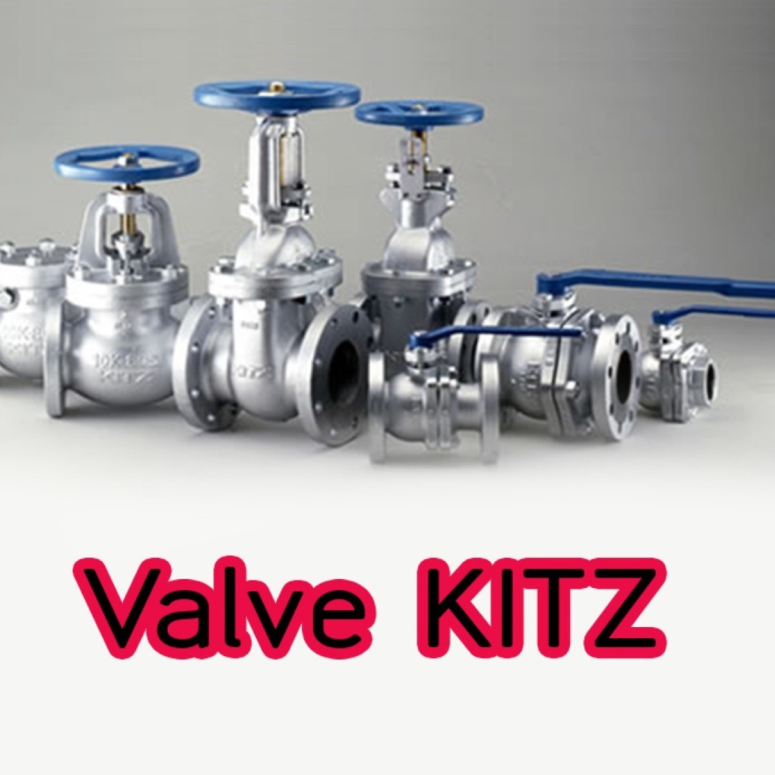 วาล์ว (Valve)